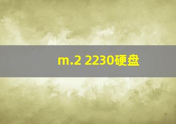 m.2 2230硬盘